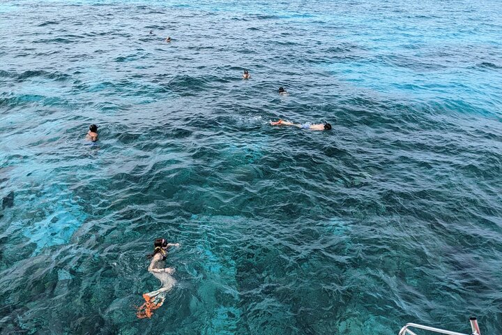 Nassau 3-stops: Snorkeling, Swimming Pigs, Turtles & Lunch