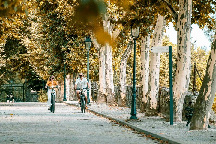 Elcykeltur genom Dourodalen