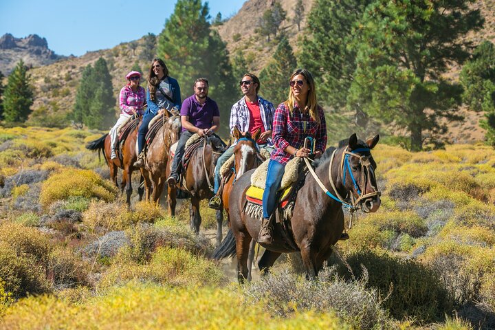 Paseos a caballo en Bariloche y tradicional recorrido por la barbacoa argentina