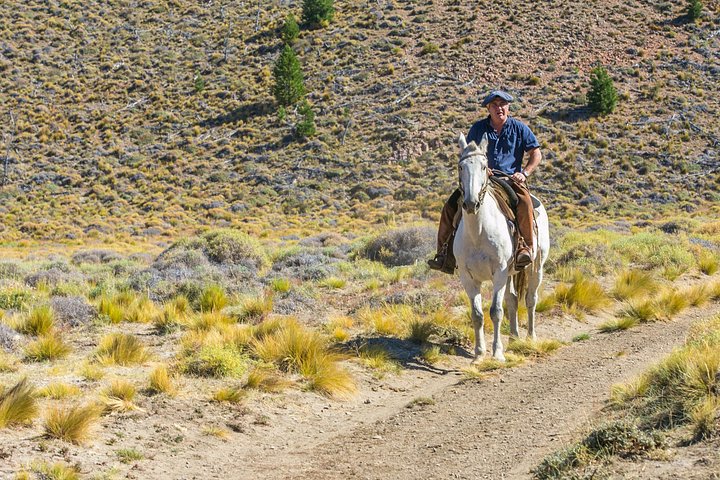 Paseos a caballo en Bariloche y tradicional recorrido por la barbacoa argentina