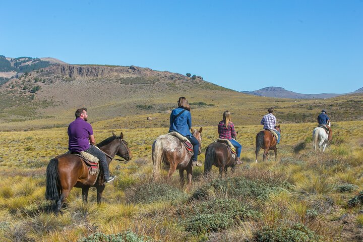 Paseos a caballo en Bariloche y tradicional recorrido por la barbacoa argentina
