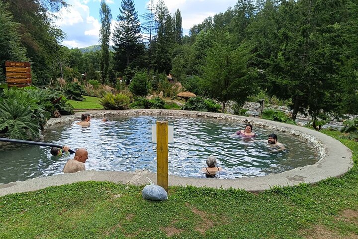 Huilo Huilo Hot Springs Tour från Valdivia med lunch