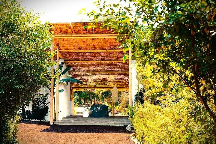 2-dagers privat luksussafari: Tarangire og Ngorongoro Tanzania