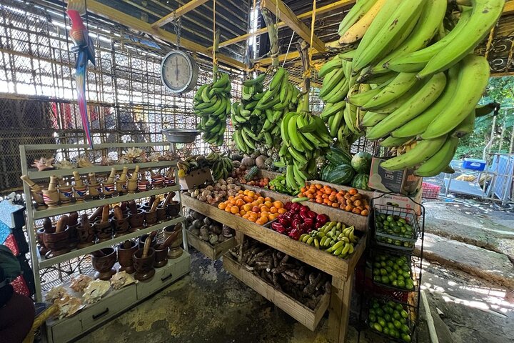San Juan to El Yunque Rainforest Waterslides and Luquillo Beach