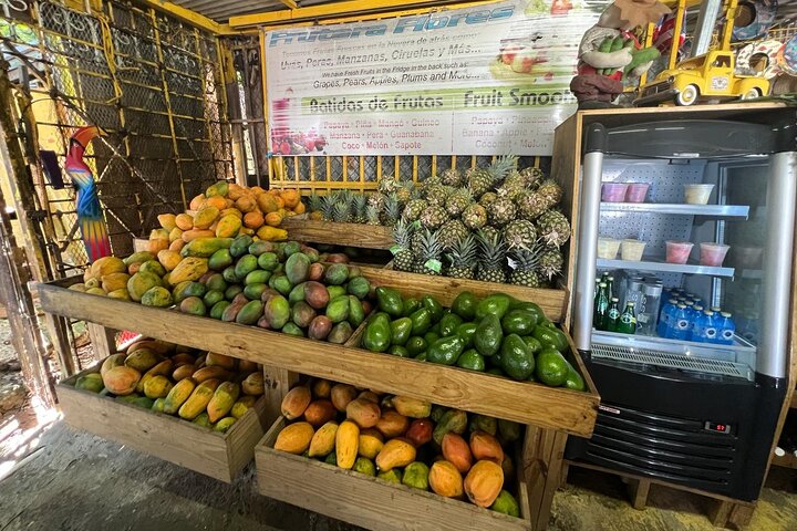 San Juan to El Yunque Rainforest Waterslides and Luquillo Beach