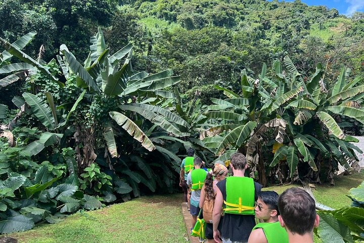San Juan to El Yunque Rainforest Waterslides and Luquillo Beach