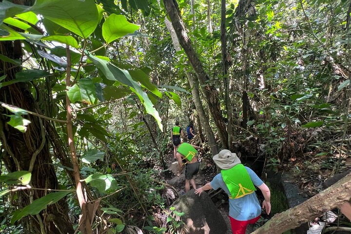 San Juan to El Yunque Rainforest Waterslides and Luquillo Beach
