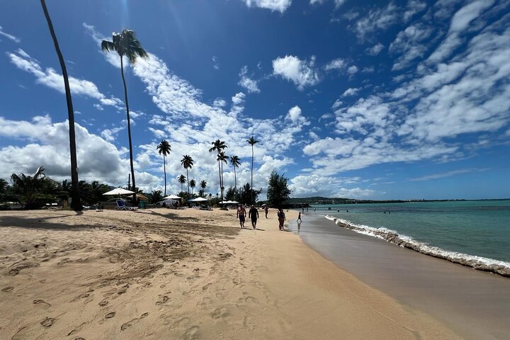 San Juan to El Yunque Rainforest Waterslides and Luquillo Beach