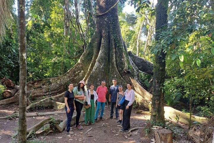 Tambopata. Lago Sandoval y collpa de loros, 3 días 2 noches