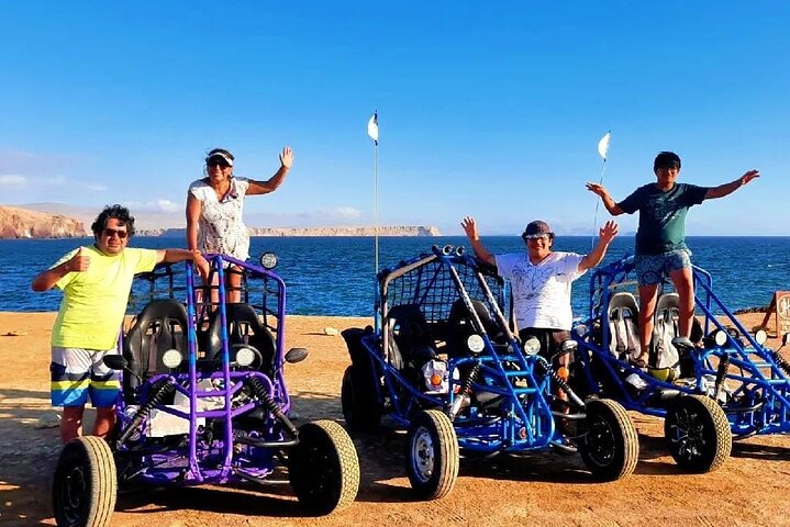 Passeie pela Reserva Nacional de Paracas em um MiniBuggy