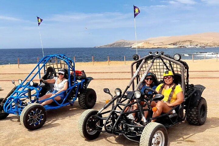 Passeie pela Reserva Nacional de Paracas em um MiniBuggy