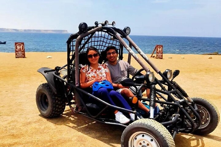 Passeie pela Reserva Nacional de Paracas em um MiniBuggy