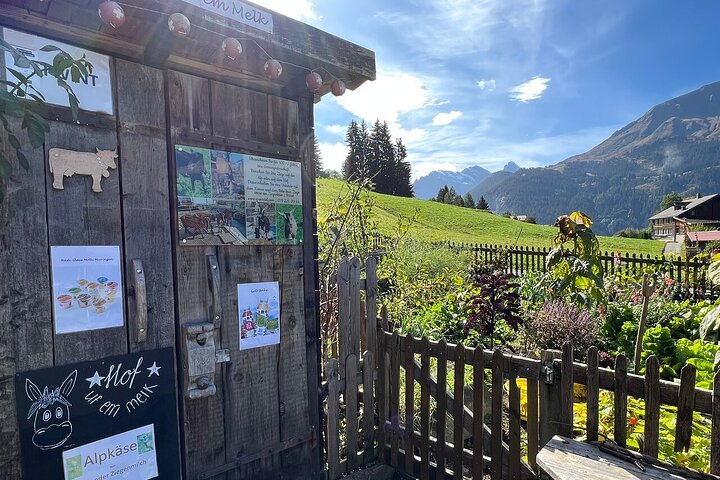 Gemakkelijke plattelandstocht in de Zwitserse Alpen - kindvriendelijk