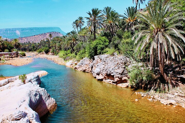 Tour guidato privato alla Paradise Valley e al villaggio di Taghazout