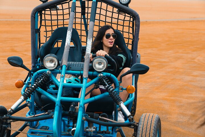 Passeie pela Reserva Nacional de Paracas em um MiniBuggy