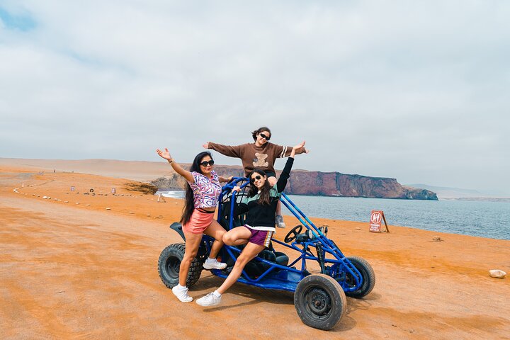 Passeie pela Reserva Nacional de Paracas em um MiniBuggy