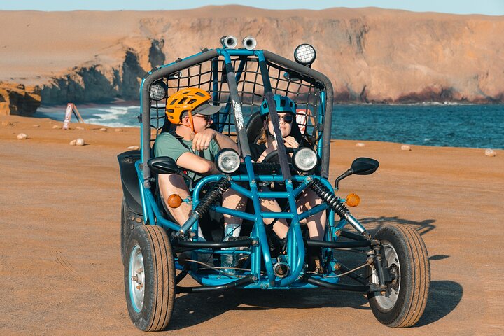Passeie pela Reserva Nacional de Paracas em um MiniBuggy