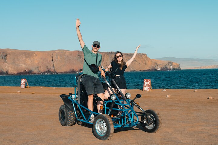 Passeie pela Reserva Nacional de Paracas em um MiniBuggy