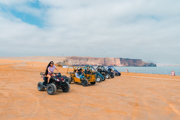 Passeie pela Reserva Nacional de Paracas em um MiniBuggy