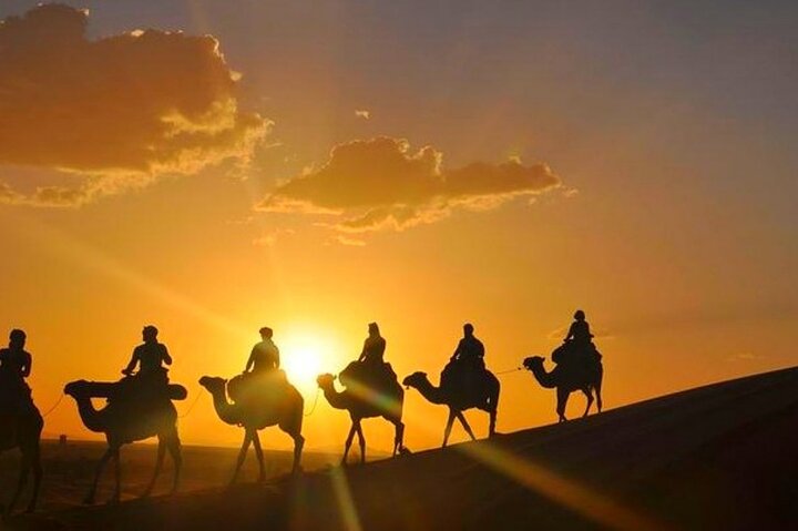 Agafay Desert Dinner Show with Quad Bike and Sunset Camel Ride