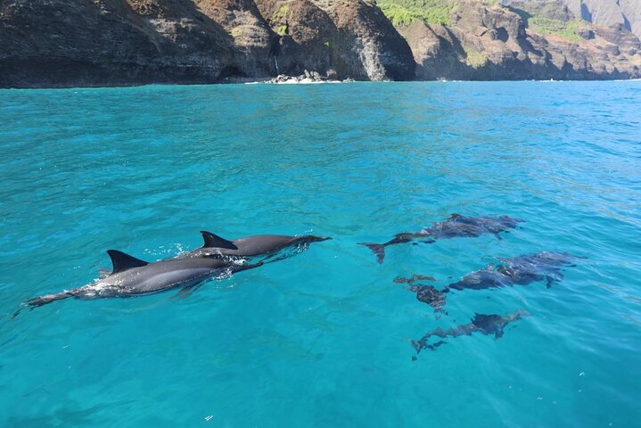Kauai : Spedizione e snorkeling in zattera zodiacale sulla costa di Nā Pali