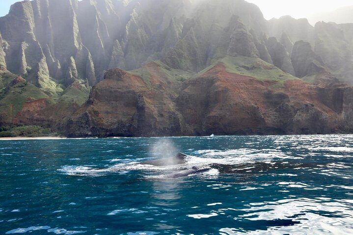 Kauai : Spedizione e snorkeling in zattera zodiacale sulla costa di Nā Pali
