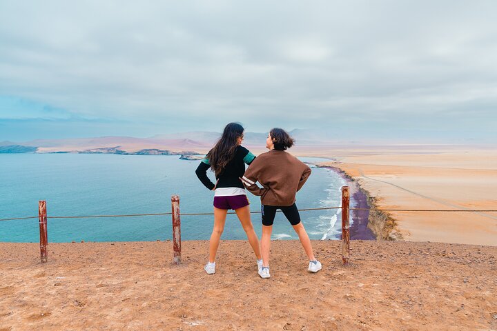 Passeie pela Reserva Nacional de Paracas em um MiniBuggy