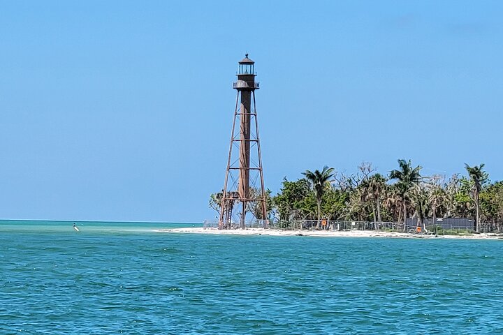 Fort Myers Beach Dolfijnen & bezienswaardigheden Tour Drankjes inbegrepen
