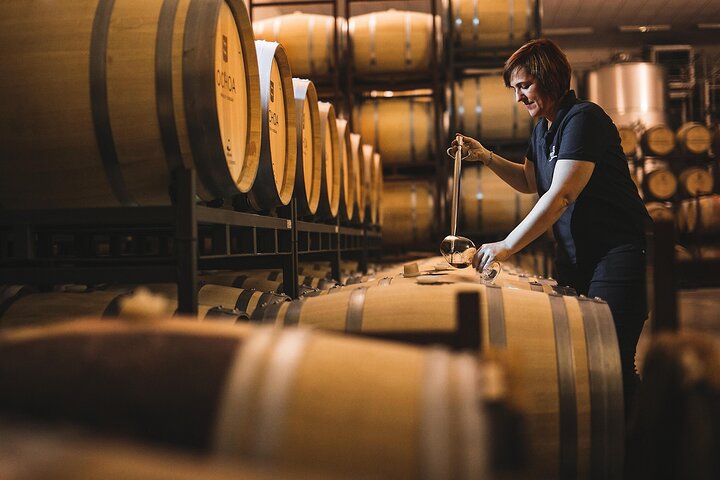 La Rioja wines and Laguardia tour from Bilbao