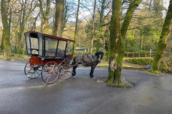 Tour guidato in carrozza di 1 ora nel parco nazionale di Killarney