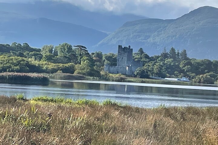 Tour guidato in carrozza di 1 ora nel parco nazionale di Killarney