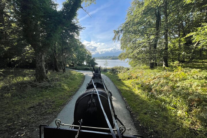 Tour guidato in carrozza di 1 ora nel parco nazionale di Killarney