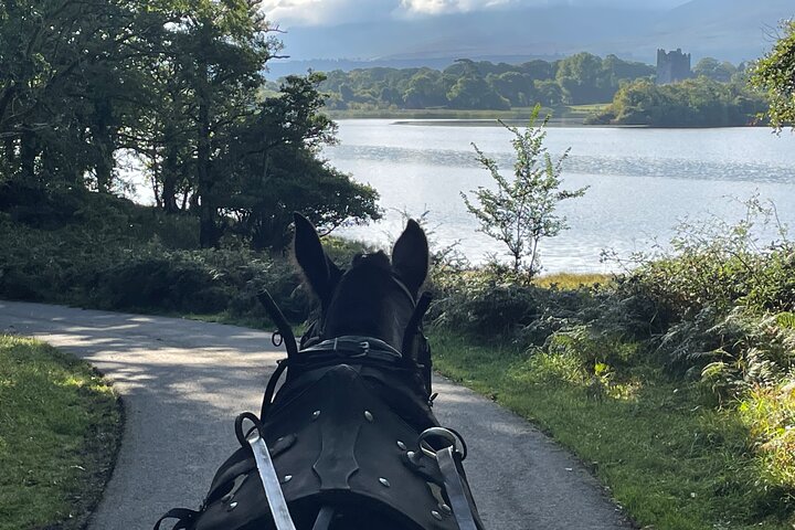 Tour guidato in carrozza di 1 ora nel parco nazionale di Killarney