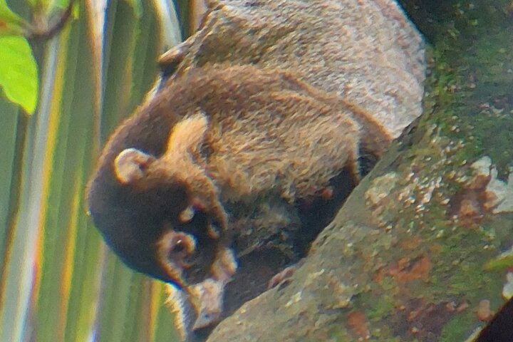 Cahuita nasjonalpark tur og vannopplevelse i Puerto Viejo