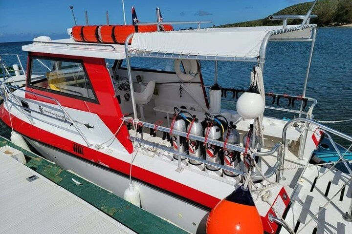 Passeio de barco autônomo com 2 tanques em locais de classe mundial em Copamarina