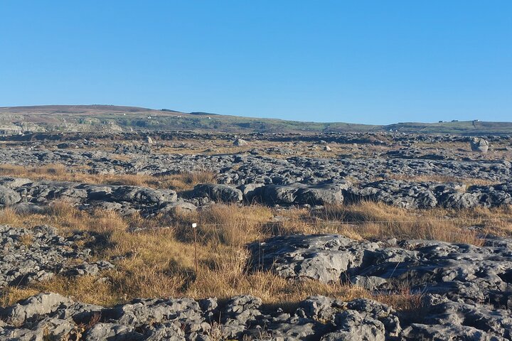 Visite privée des falaises de Moher et du Wild Atlantic Way au départ de Limerick.
