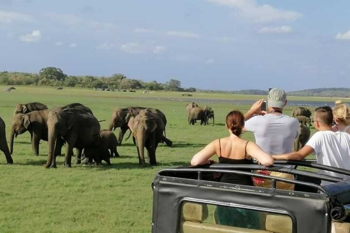 Sigiriya Rock og Jeep Safari privat tur fra Trincomalee