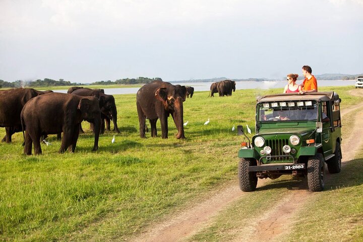 Sigiriya Rock og Jeep Safari privat tur fra Trincomalee
