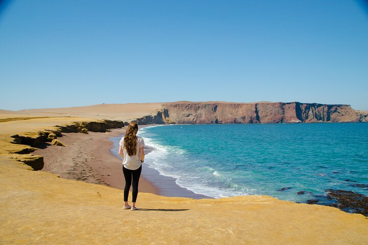 Paracas: ATV / Quad Bike eller Buggy på Paracas National Reserve