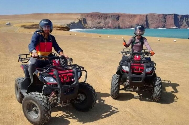 Paracas: ATV / Quad Bike eller Buggy på Paracas National Reserve