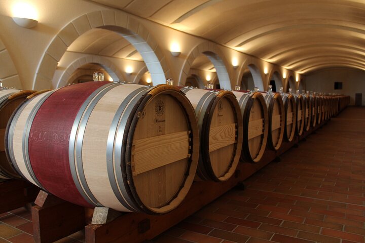 Saint-Émilion Wine Tour por bicicleta elétrica premium, almoço incluído
