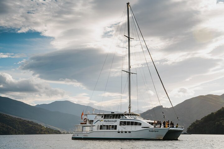 Meeresfrüchte Odyssea Marlborough Sounds Cruise von Picton