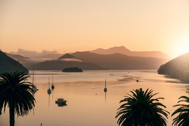 Crucero de degustación de mejillones de concha verde de Marlborough Sounds