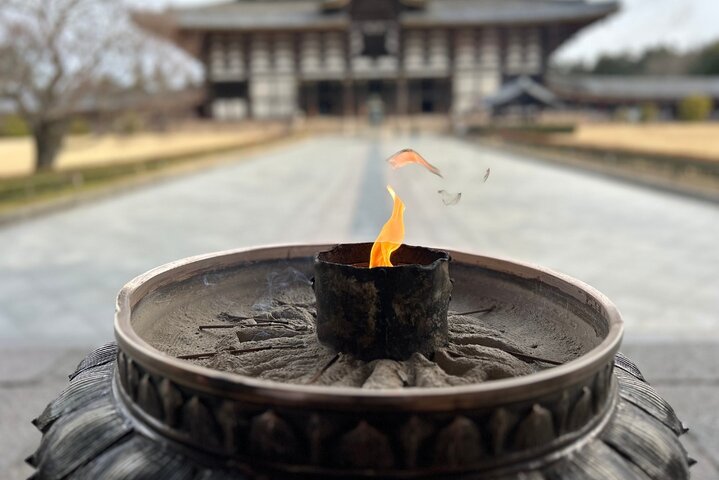 Nara Early Morning Tour Kyoto eller Osaka Avreise tilgjengelig