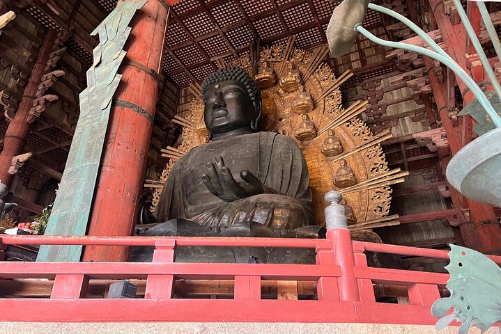 Nara Early Morning Tour Kyoto eller Osaka Avreise tilgjengelig