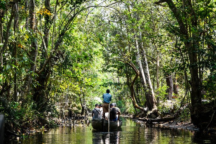 Crucero de día completo en bote en bote por Backwater Village