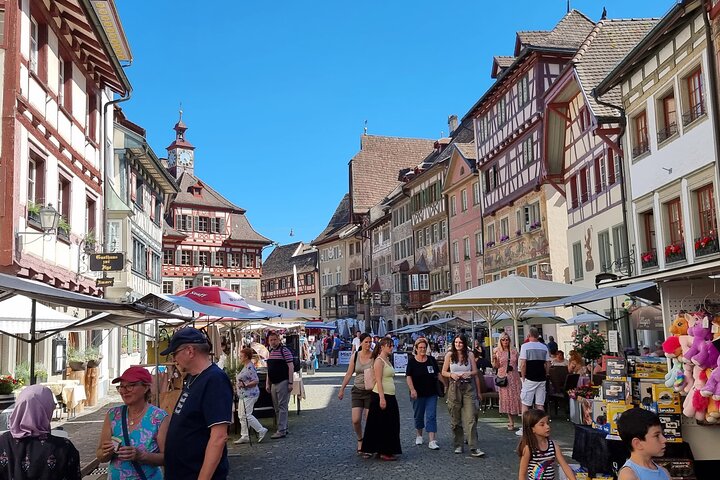 Chutes du Rhin et Stein am Rhein : excursion à la demi-journée au départ de Zurich
