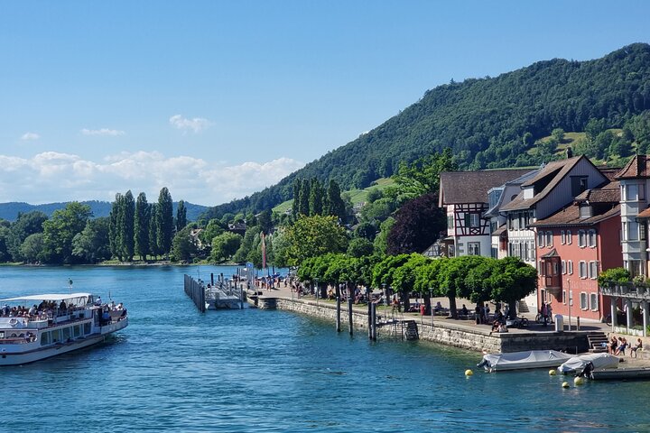 Chutes du Rhin et Stein am Rhein : excursion à la demi-journée au départ de Zurich