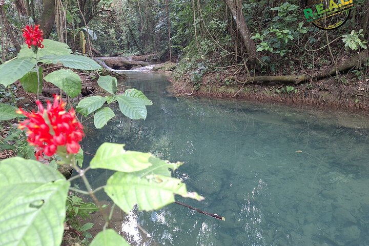 Aventure dans les marrons et les cascades depuis Treasure Beach en Jamaïque