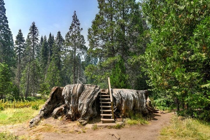 Tour de conducción con audio autoguiado en Sequoia y Kings Canyon